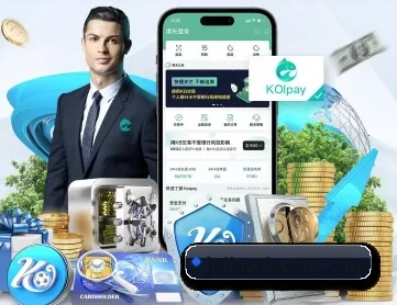 星空入口网页版 APP